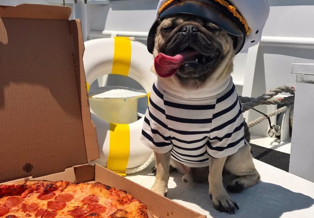 Как приятно кушать пиццу на яхте